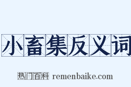 小畜集反义词是什么意思的图片